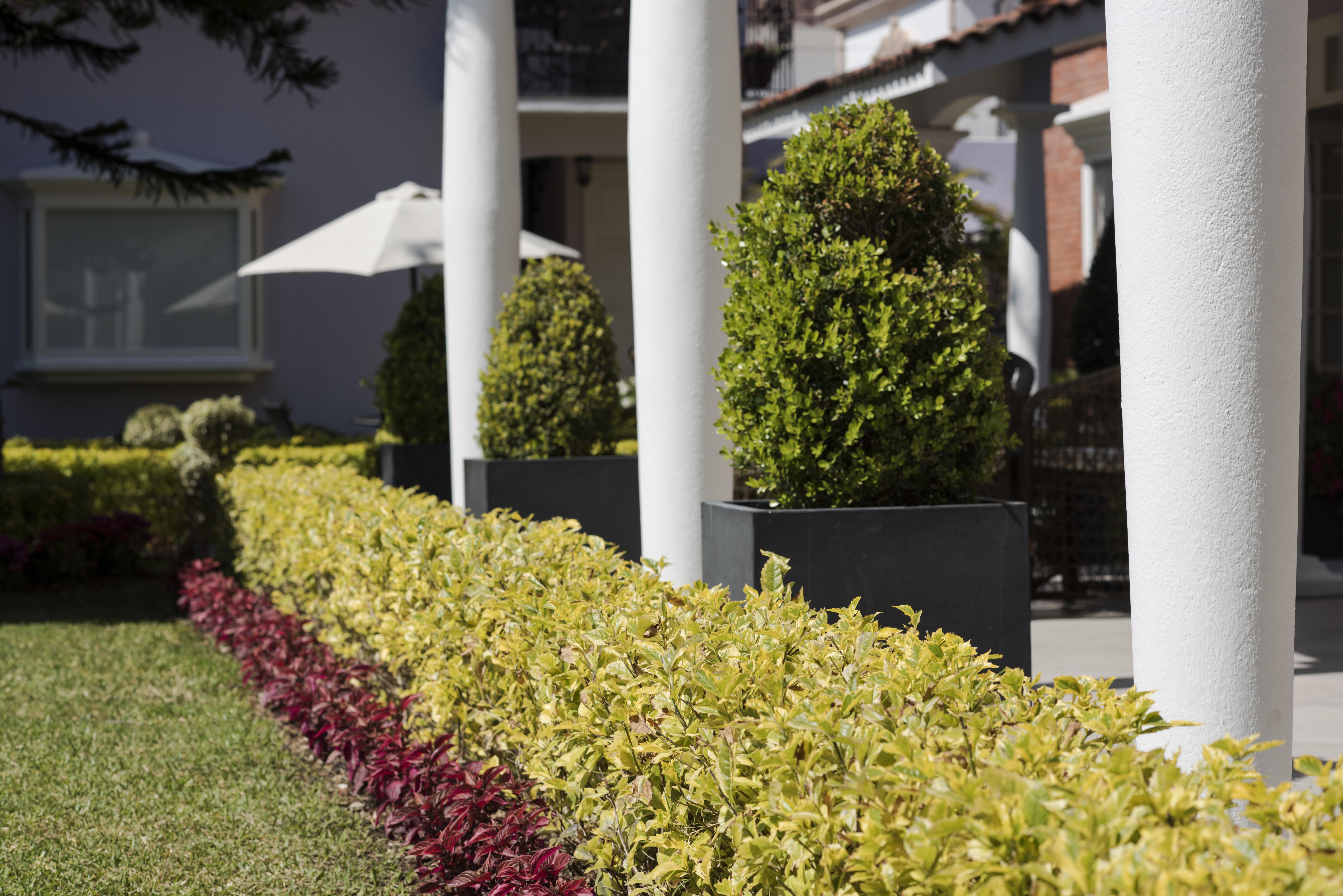 Casa Bonita Hotel & Cocina Oaxaca Ngoại thất bức ảnh